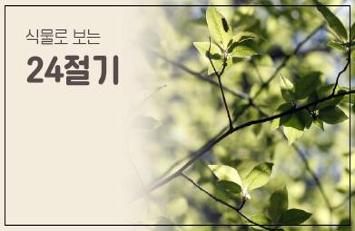24절기.jpg